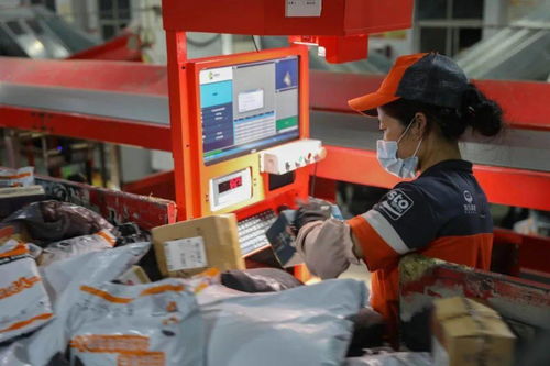 物流行業新風向 巨頭加碼布局與行業挑戰并存